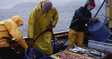 Tensiuni post-Brexit între Franţa şi Marea Britanie pe tema licenţelor de pescuit
