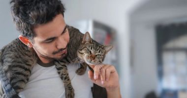 Stire din Sănătate : Terapia cu pisici vă îmbunătățește starea de spirit