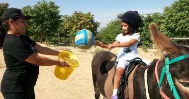 Terapia cu măgăruși, sprijin pentru copiii cu dizabilități de la Cernavodă - 2