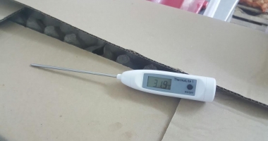 Galerie foto. Trei terase din Mamaia, închise temporar de Protecția Consumatorilor. Unde au fost găsite nereguli - 4