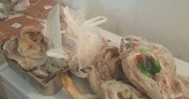 Galerie foto. Trei terase din Mamaia, închise temporar de Protecția Consumatorilor. Unde au fost găsite nereguli - 10