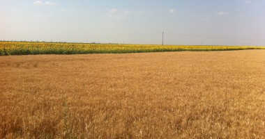 Stire din Economie : Tranzacțiile de terenuri agricole, avizate de ADS?
