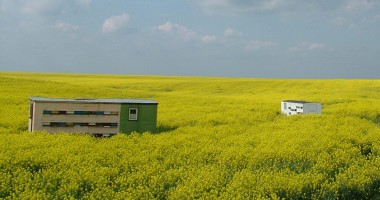 Stire din Economie : Două companii britanice vor să investească în terenuri agricole în România