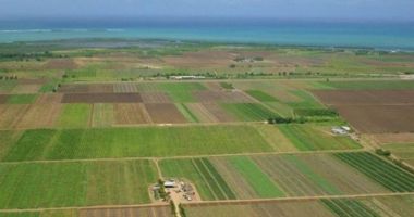 Stire din Economie : Ce terenuri s-au mai vândut în noiembrie