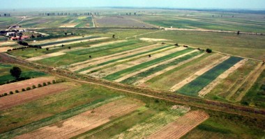 Stire din Diverse : Planeta e în PERICOL. Pierde anual milioane de hectare de teren agricol!