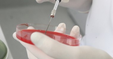 Testul Babeș Papanicolau gratuit pentru constănțence