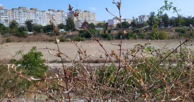 Campania "Cuget Liber" - Păstrează Constanța curată! - "Jungla" din complexul "Badea Cârţan". Beţivi, prostituate, mizerie şi bălării cât casa - 2
