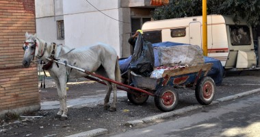 Stire din Social : De ce nu scăpăm de căruțele care au împânzit Constanța