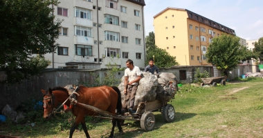 Căruțele, coșmarul conducătorilor auto! "Polițiștii sunt legați de mâini, nu au ce să le facă" - 23