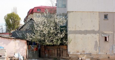 VIAȚĂ de COȘMAR / TERORIZAȚI de VECINI. Ce pot face AUTORITĂȚILE? - 2