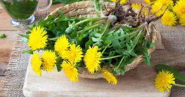Tinctura de păpădie, sprijin natural pentru digestie și detoxifiere