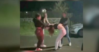 Oficial de la IPJ Constanța despre bătaia dintre fete, din satul Rariștea - 2