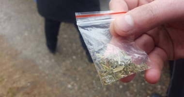 Stire din Eveniment : Tineri prinși cu zeci de pliculețe cu etnobotanice, în Piața Ovidiu
