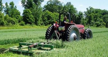 În jur de un milion de fermieri vor trebui să abandoneze agricultura de subzistență, până în 2020