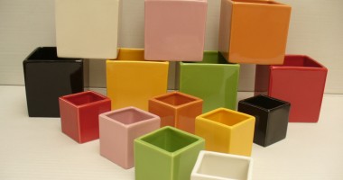 Ce tip de ghivece le place plantelor