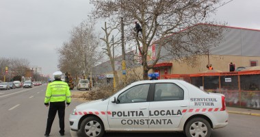 Galerie FOTO. A început toaletarea copacilor de pe strada I.C. Brătianu - 3
