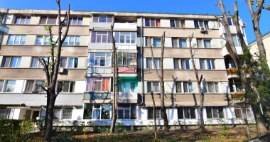 Copacii de pe bulevardul Ferdinand, "măcelăriți" cu drujba. "Sunt tăieri de corecție" - 2