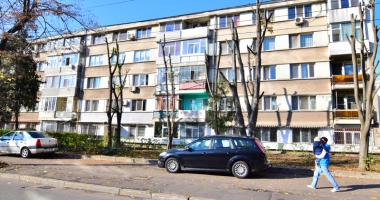 Copacii de pe bulevardul Ferdinand, "măcelăriți" cu drujba. "Sunt tăieri de corecție" - 4