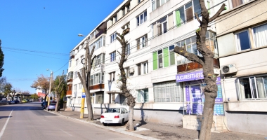 Copacii de pe bulevardul Ferdinand, "măcelăriți" cu drujba. "Sunt tăieri de corecție" - 5