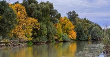 Stire din Social : Vremea se încălzește ușor astăzi. Unde mai plouă și în ce zone temperaturile ajung la 20 de grade