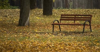 Stire din Social : ANM. Cum va fi vremea astăzi, la Constanța