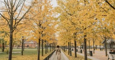 Stire din Social : ANM anunță cum va fi vremea până la începutul lui decembrie