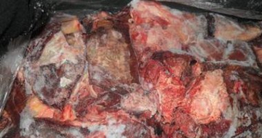 Stire din Eveniment : Sute de kilograme de carne congelată, descoperite pe marginea unui lac