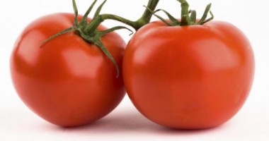 Ajutor de stat pentru procesarea tomatelor