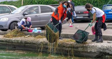Stire din Social : Tone de gunoaie, adunate de voluntari pe Lacul Tăbăcărie