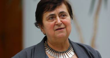 Cu ochii pe comoara din Topalu. Donația  dr. Vintilă - șapte ani de procese și expertize - 2