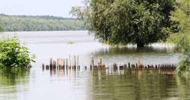 Satele din zona Dobrogei, amenințate de Dunărea umflată - 6