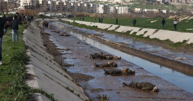 Stire din Actualitate : Douăsprezece cadavre au fost găsite într-un lac din Rusia