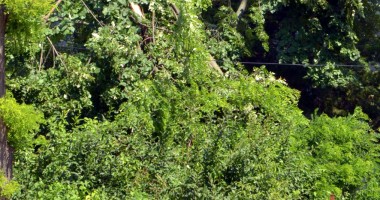 Galerie FOTO. Tornadă pe litoral. Meteorologii avertizează: "Vor fi din ce în ce mai violente și mai dese" - 2
