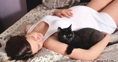 Stire din Sănătate : Toxoplasmoza în sarcină. Consecințe și metode de prevenție