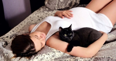 Stire din Sănătate : Atenție la pisici! Gravidele infectate cu toxoplasmoză pot naște copii cu probleme grave de sănătate