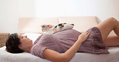 Graviduțe, mare atenție la animale! Toxoplasmoza poate afecta pe oricine