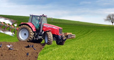 Stire din Economie : 20 milioane de euro ajung în buzunarele fermierilor constănțeni