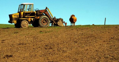 Stire din Economie : Tinerii fermieri constănțeni au trei luni în plus pentru a cere banii europeni