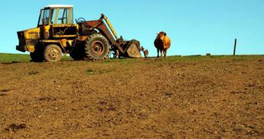 Stire din Economie : Idei de afaceri 2015. Fonduri europene pentru tineri