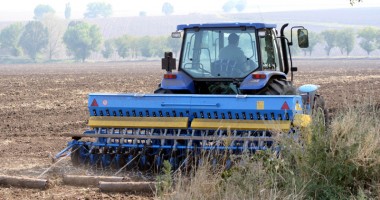 Stire din Economie : Termen prelungit pentru constănțenii care depun proiecte privind finanțarea exploatațiilor agricole
