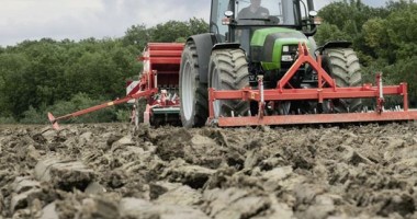 Stire din Economie : Agricultorii din nordul județului Constanța, în culmea disperării