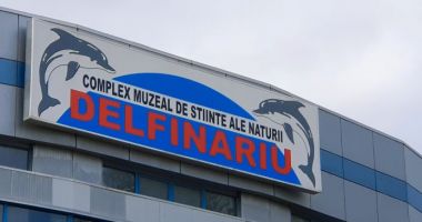CMSN Constanța – tradiţie instituţională de peste o jumătate de secol