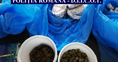 Stire din Eveniment : Traficant de droguri din Mangalia, prins cu sute de grame de substanțe interzise în mașină