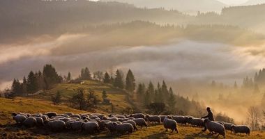Stire din Cultură-Educație : O străveche tradiție românească a intrat în patrimoniul UNESCO: se mai practică în doar câteva țări
