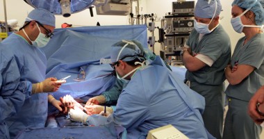 Stire din Sănătate : România, campioană la transplanturi de la donatori în moarte cerebrală