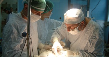 Stire din Sănătate : La Constanța, nu se mai fac transplanturi de rinichi