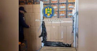 Stire din Eveniment : Captură uriașă la frontieră. Peste  șapte milioane de țigarete ascunse într-un transport aparent de citrice