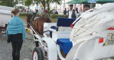 Stire din Diverse : Turiștii stau departe de "caii putere" ai vizitiilor din Mamaia