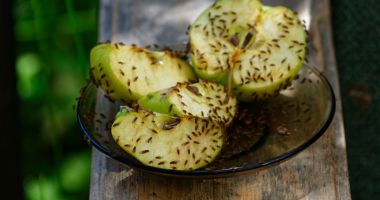Stire din Sănătate : O nouă descoperire. Musculițele de fructe pot lupta împotriva tumorilor cerebrale