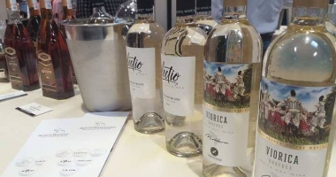 Festivalul Vinului din România, adus în magazinul Selgros Constanța. Înconjurul lumii în peste 100 de soiuri de vin - 3